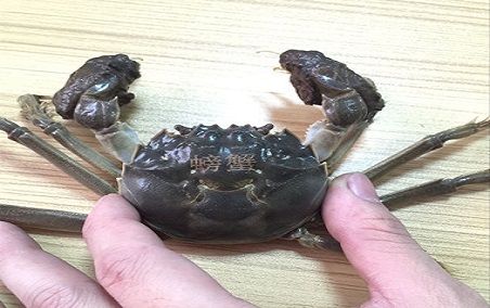 Raw crab marking